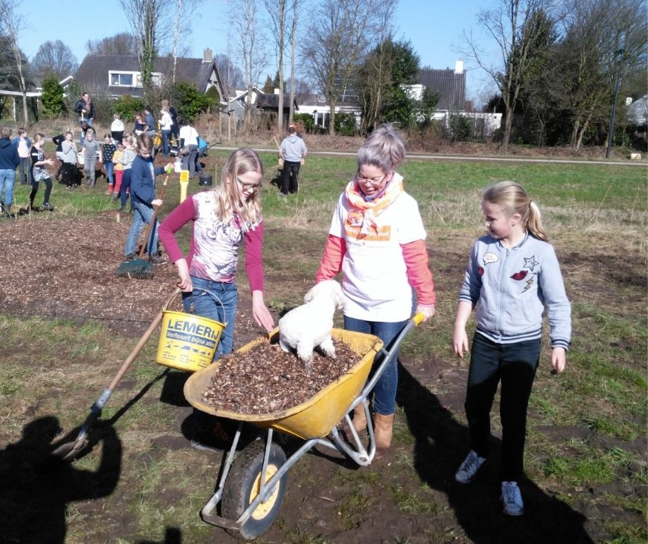 Onze eigen dorpstuin