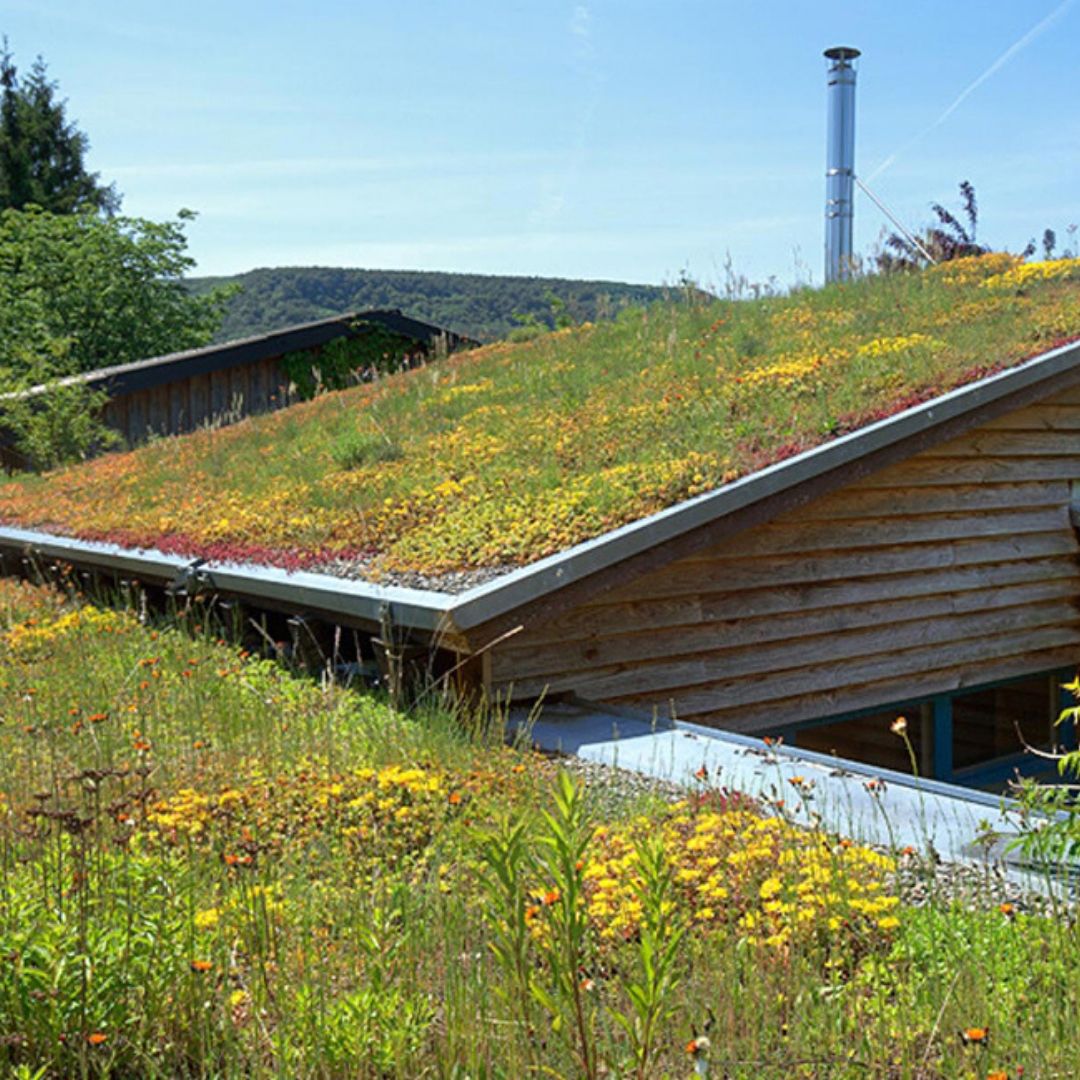 zeven gouden tips van buur Miranda