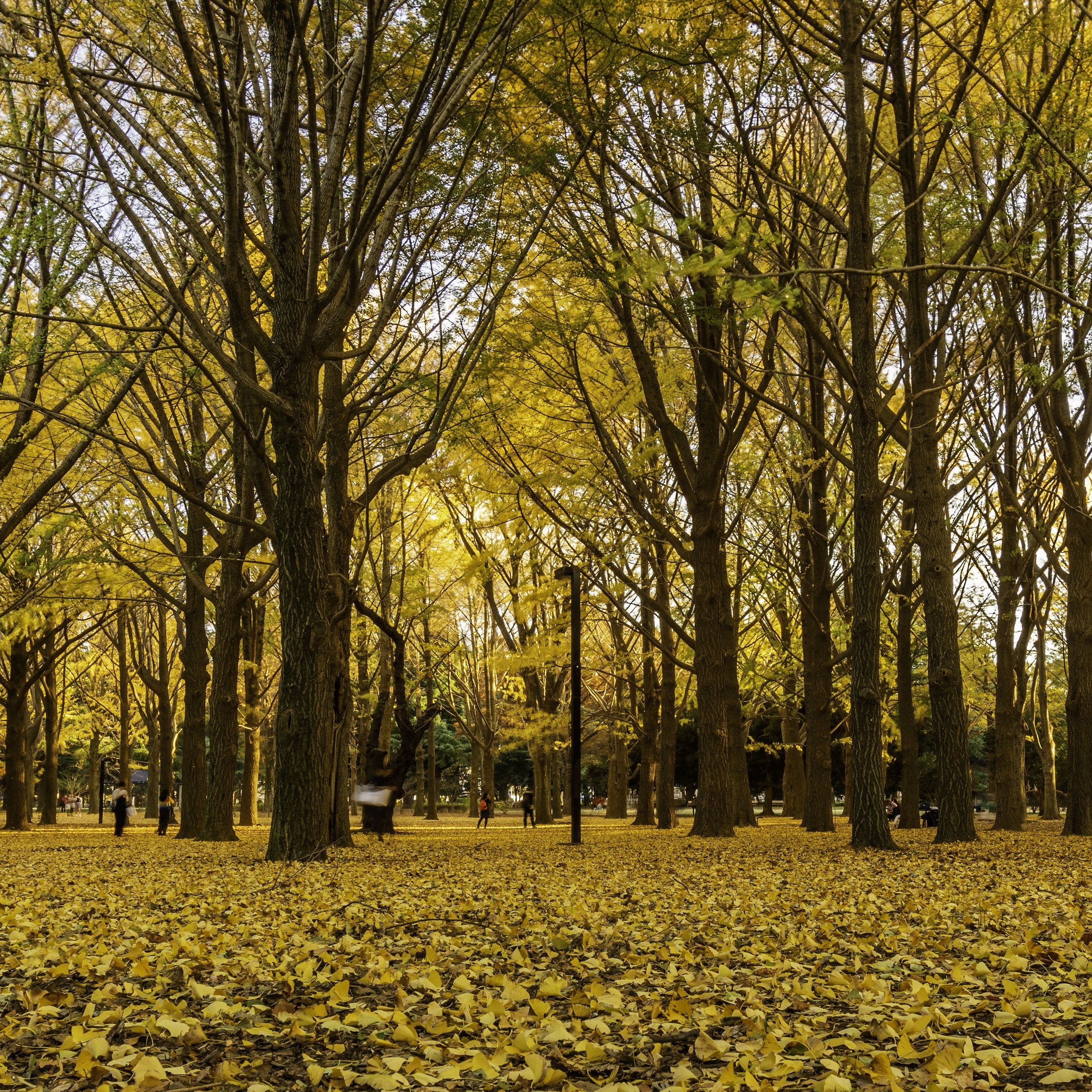 krijten op de stoep fleurig en gezellig