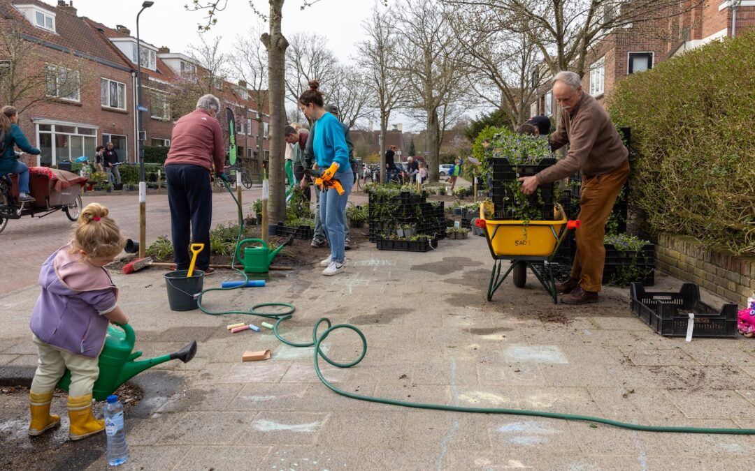 Vijf acties om samen je huis, tuin én buurt lenteklaar te maken!